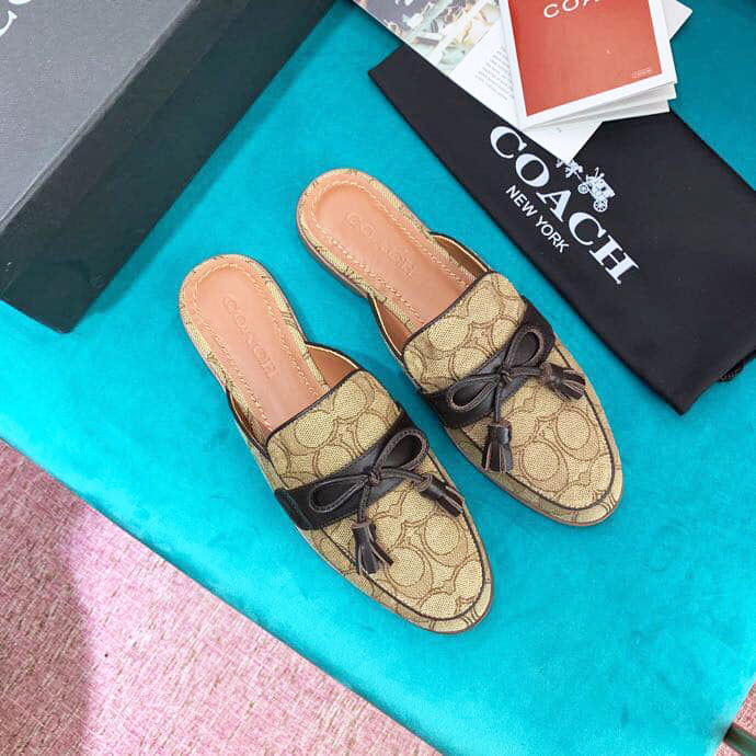 Sục nữ hiệu Coach da thật siêu cấp