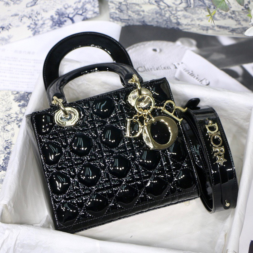 Túi hiệu da bóng 5 ô Dior siêu cấp khoá bạc