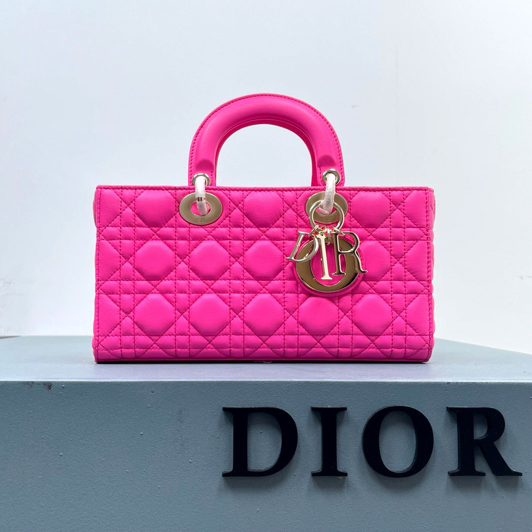 Túi xách Dior làn ngắn da mịn siêu cấp