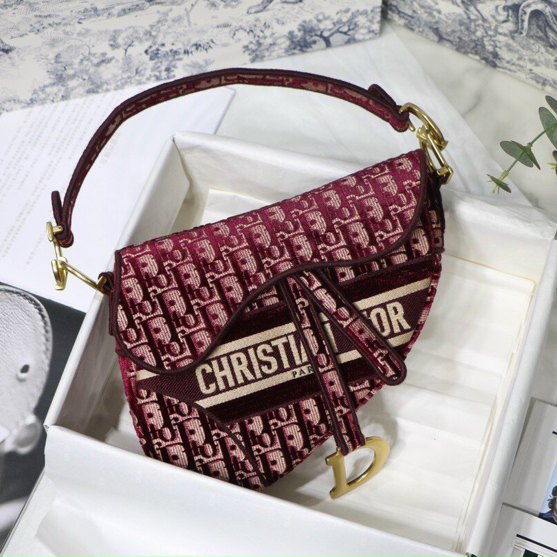 Túi xách Dior yên ngựa thổ cẩm mini 3 màu siêu cấp