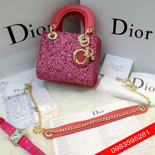 Túi Dior F1 nạm nhũ